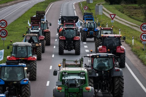 L'accord de libre-échange avec le Mercosur pourrait relancer la mobilisation des agriculteurs, qui craignent entre autre une concurrence déloyale.