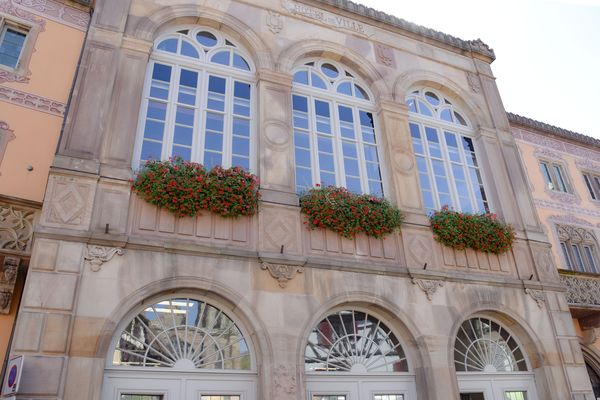 Les fleurs disparaîtront bientôt des fenêtres de l'hôtel de ville.