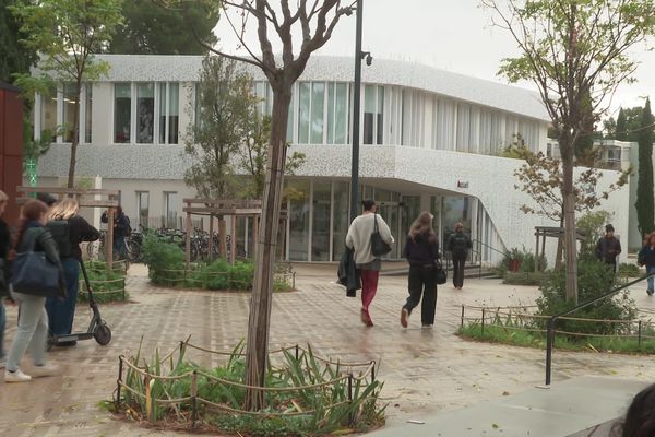 Anne Fraisse, présidente de l'université Paul Valéry condamne le manque de moyen dans l'enseignement supérieur.