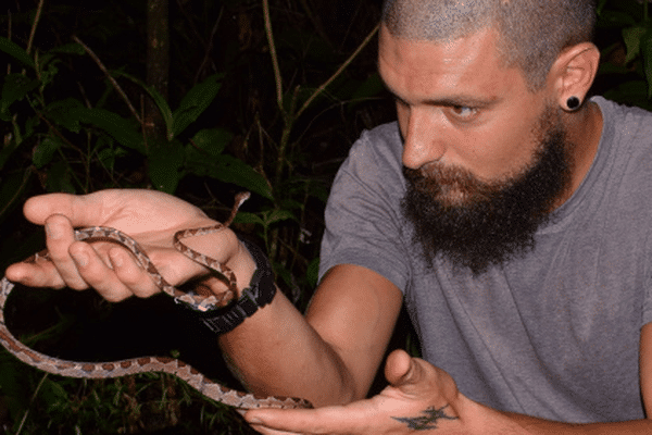 Pendant son expédition, Ludovic Ibba a rencontré des animaux comme le serpent Imantode à nuque tatouée (Imantodes cenchoa)