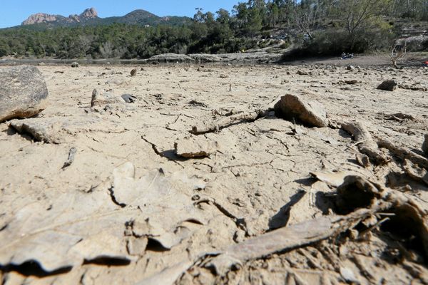 Météo : sécheresse, la situation se dégrade dans la Loire. la préfecture renforce les mesures de restrictions sur certaines zones.