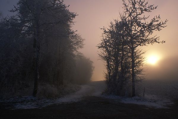 brouillard hivernal