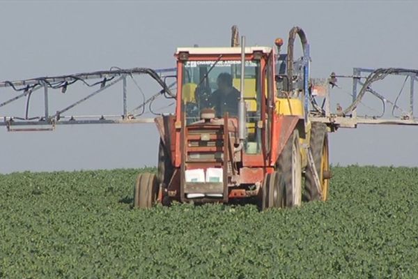 Un exploitant répand de l'azote sur son champ de colza à Corroy (Marne) ce dimanche 16 mars 2014.