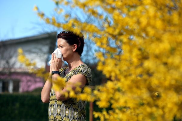 Un français sur trois souffre d'allergie aux pollens