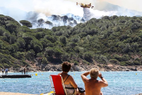 Un Canadair en plein largage à la Croix Valmer, le mardi 25 juillet
