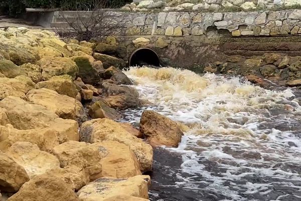 Le Siba s'est exprimé sur l'épisode de contamination du bassin d'Arcachon et a annoncé des mesures.