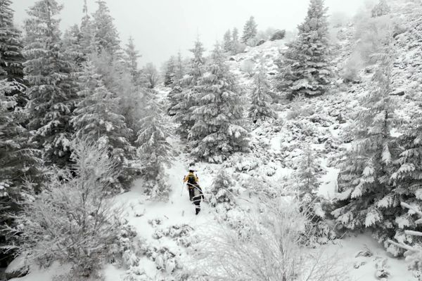 La randonnée du cirque de Chamalière commence en forêt.