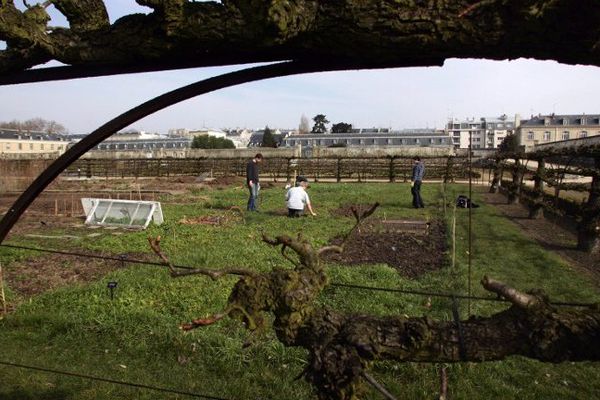 Le potager du roi, à Versailles.