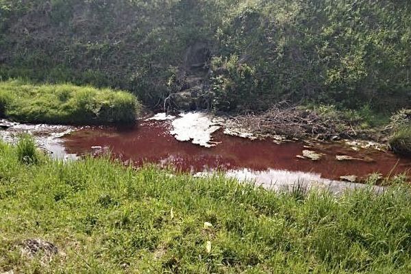 Des photos prises par des riverains du Bruèges, petite rivière située à Alès dans le Gard, circulent sur les réseaux sociaux. Le cours d'eau s'est teinté de rouge le 2 mai, mais les analyses effectuées le lendemain par l'OFB n'ont rien décelé de suspect.