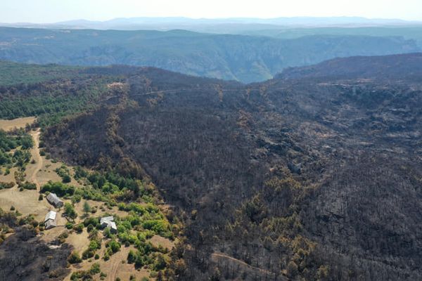 Pendant 10 jours, un violent incendie a ravagé 1.300 hectares dans le secteur de Mostuéjouls, aux confins de l'Aveyron et de la Lozère. 3.000 personnes ont dû être évacuées - août 2022.