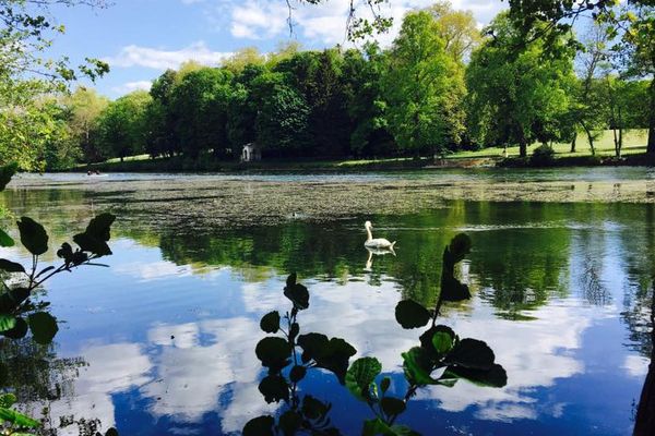 Les bords du Loiret