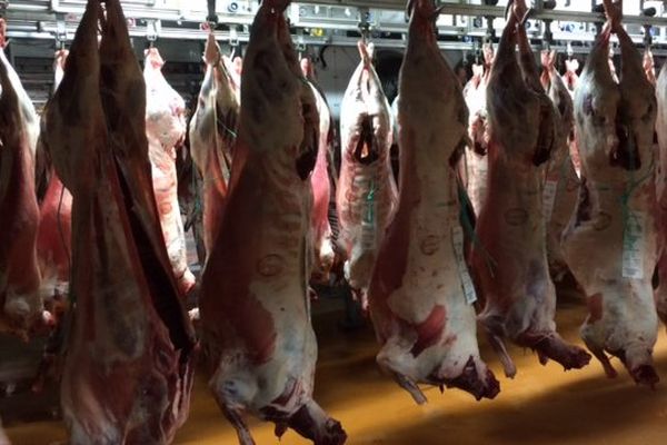 L'abattoir du Vigeant dans la Vienne.