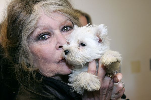 La Garrigue l’autre maison de Brigitte Bardot, vaste domaine de 10 hectares qu’elle a acheté pour ses animaux.