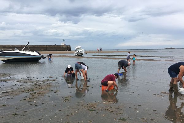 pêcheurs à pied à la pointe de Merquel