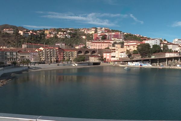 La réserve naturelle de Cerbère-Banyuls  dans les Pyrénées-Orientales fête ce jeudi 26 février ses cinquante ans. Le bel âge pour ce paradis maritime qui envisage doubler sa surface. Une bonne nouvelle pour la préservation de la flore et de la faune sous-marines, mais qui inquiète les professionnels de la plongée