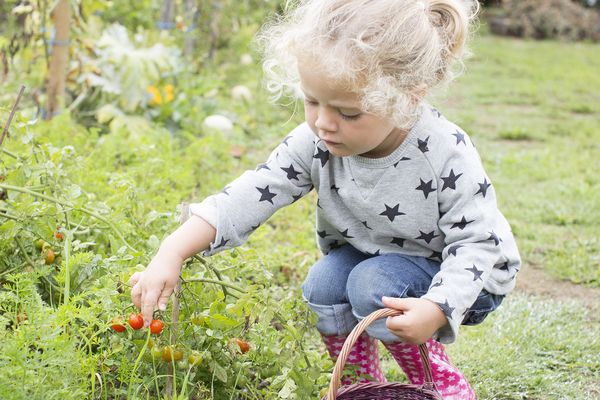 Initiez-vous au jardin en cinq conseils, un jeu d'enfants ?