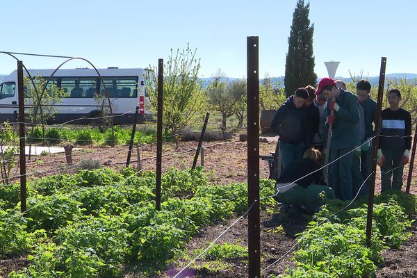 Cette classe de 4ème nature redonne confiance aux élèves souffrant de troubles de l'apprentissage. Vendredi 14 avril 2023.