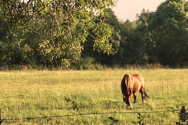 Calme et serein sous ce froid d'automne 