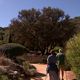 Étendu sur 7 hectares, le Parc de Saleccia est un site d’exception qui met en valeur la végétation corse et méditerranéenne.