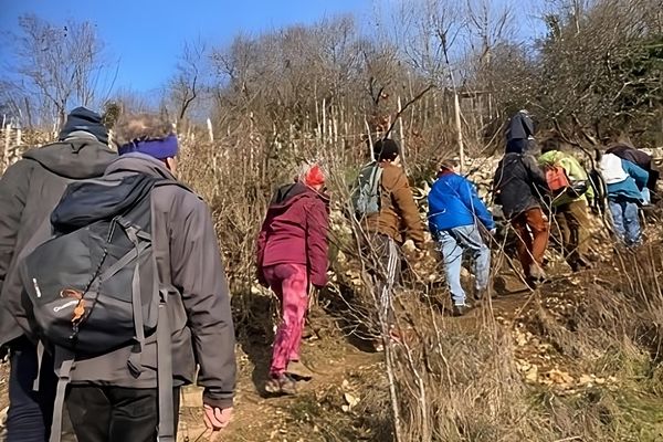 L'association "Terrasses des collines bisontines et d'ailleurs" recherche des bénévoles