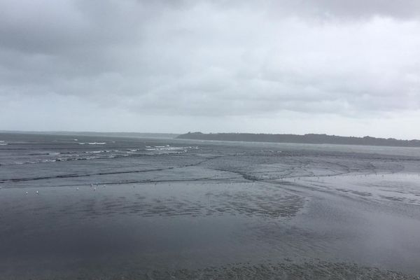 Grisaille et humidité s'imposeront dans la matinée sur le littoral.