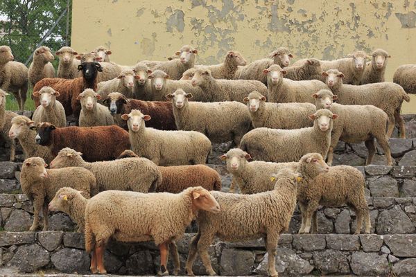 La ferme "Entre terre et Miel