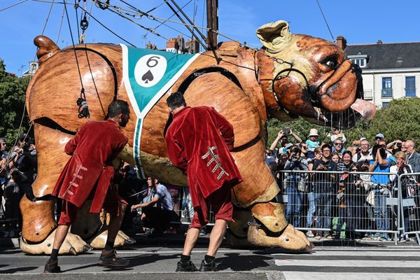 Bull Machin, le 24 septembre 2023 à Nantes lors de sa course contre El Xolo