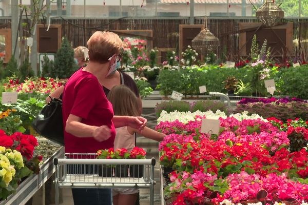 Les clients au rendez-vous dans les horticultures d'Alsace