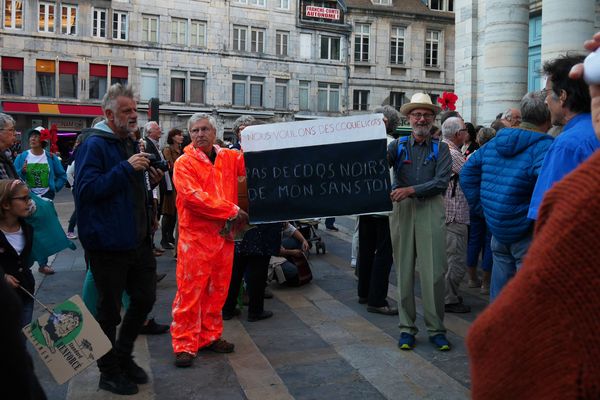 Rassemblement à  Besançon de "Nous voulons des coquelicots". 2018.