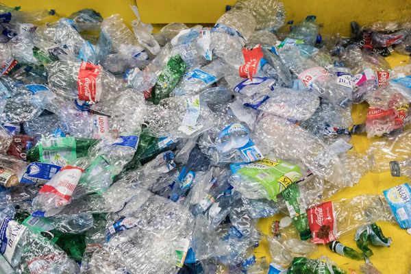 Seulement un quart des emballages plastiques sont collectés et triés afin d'être recyclés.