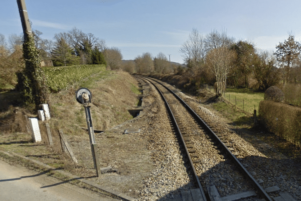 Des bovins heurtés par un train à Cressat (23)