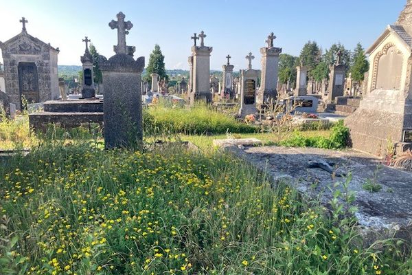 C'est un sujet de conversation qui n'en finit pas d'alimenter les réseaux sociaux : la végétation qui prolifère dans les cimetières, et particulièrement celui de Louyat à Limoges.