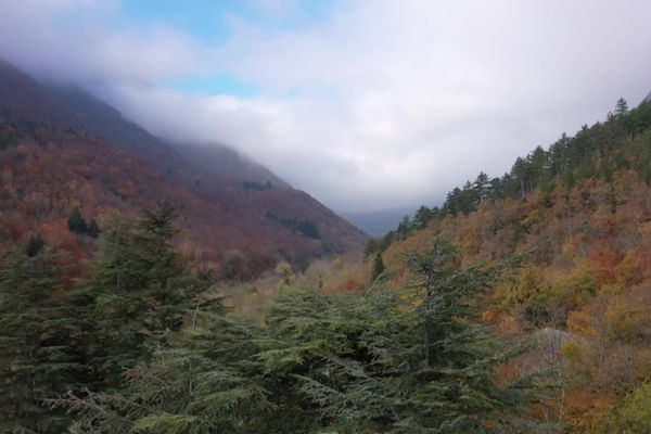 Depuis 2003, la forêt de Saou est propriété du département de la Drôme.