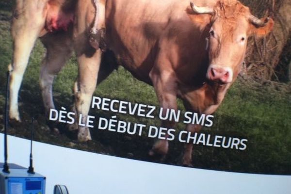 Des agriculteurs avertis des chaleurs par SMS