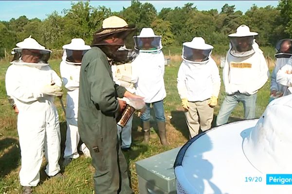 De plus en plus de particuliers s'intéressent au monde des abeilles