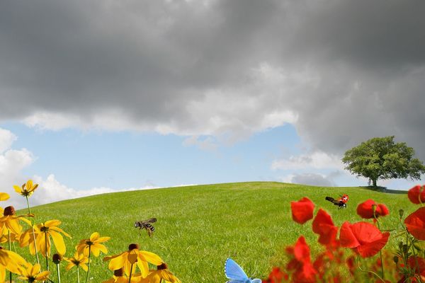 Partie de cache-cache dans le ciel du Grand Est