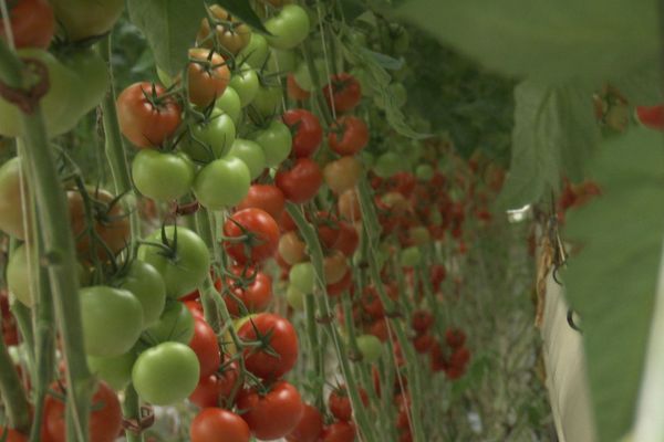 Un terroir agricole à déguster sans modération !