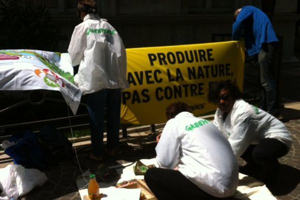 Greenpeace contre les pesticides à Avignon 