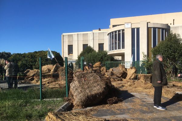 Des balles de foin devant l'entrée de la DDTM à Arles.