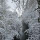 La neige est tombée à Dancevoir, en Haute-Marne.