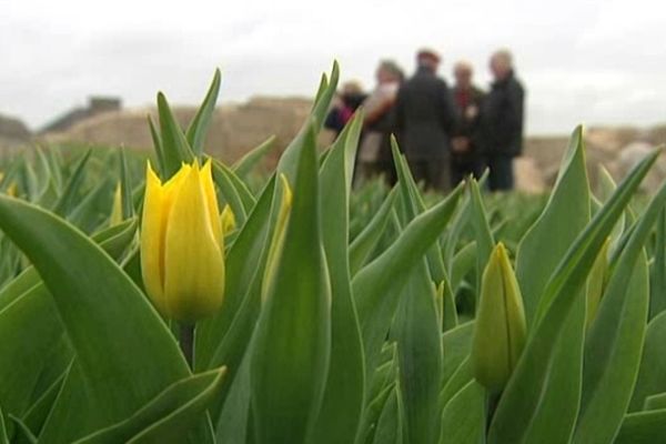 L'opération est née en 1998 près de Falaise