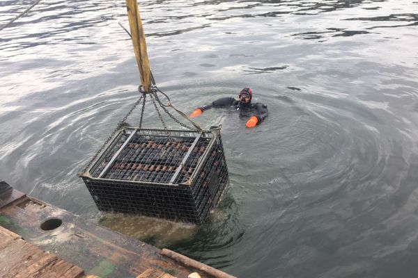 En Haute-Savoie, 5 000 bouteilles avaient été remontées à la surface du Léman, après avoir été stockées pendant quatre ans dans les profondeurs du lac par un vigneron savoyard.