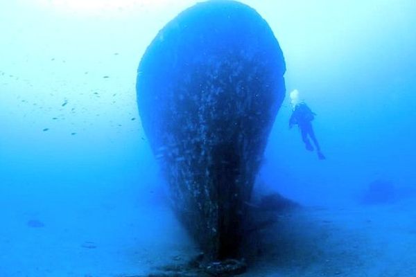 L'insuma, épave d'une cannonière de la 2de Guerre Mondiale au large du Cap Corse