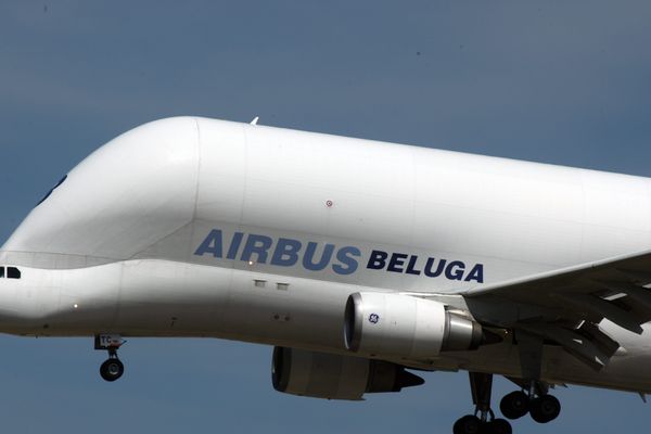 Le Beluga, l'avion qui transporte des avions, devrait multiplier dans les mois à venir les rotations au dessus de Saint-Nazaire un bon signe pour la santé économique de toute une région.