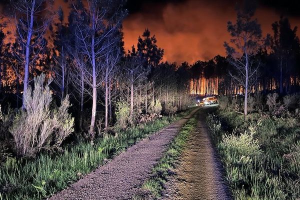 Le 2 mai dernier dans la nuit, dans la forêt de la Double à La Roche-Chalais, 80 pompiers ont mis fin à un incendie qui a ravagé 10 hectares de pinède