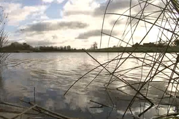 Etang de Brenne