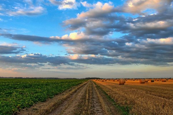 Les dons agricoles font le lien entre les bénéficiaires d'associations d'aide alimentaire et les agriculteurs