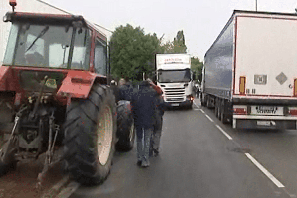 Le président de la FNSEA a souhaité lundi que l'étiquetage signalant la provenance française de la viande et du lait "soit rendu obligatoire" auprès des distributeurs.