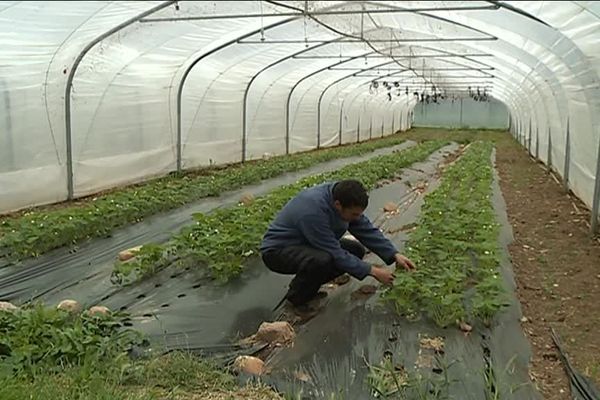 Le rêve d'exploitants agricoles devenu possible grâce au soutien de plusieurs instance européennes 