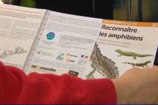 Des ateliers pédagogiques pour mieux comprendre la vie des amphibiens.